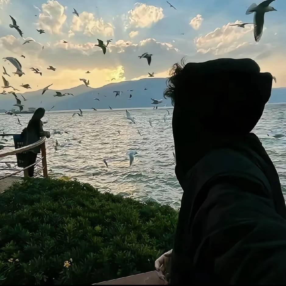小鱼（无畏契约）