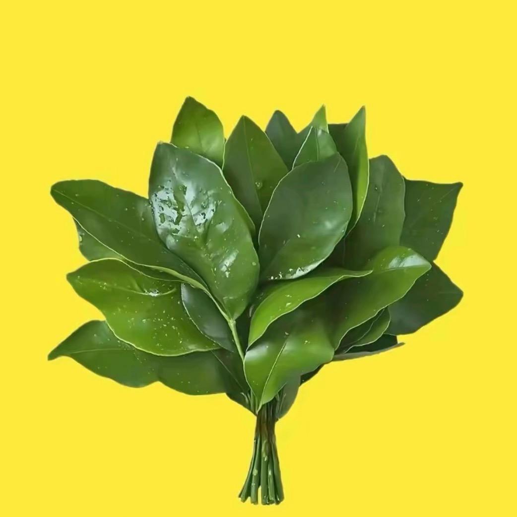 杨又串儿🌊