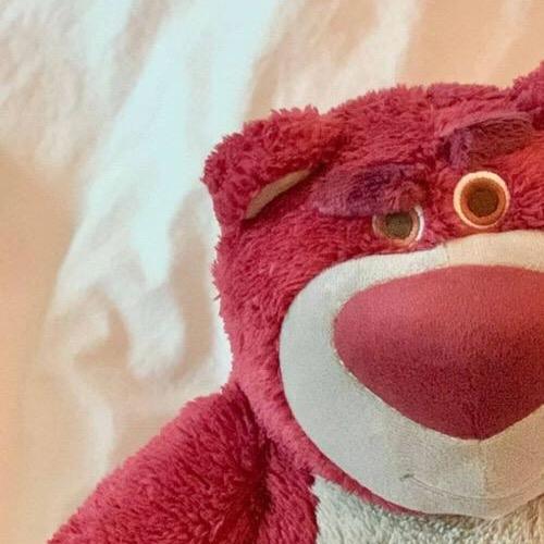 🐻