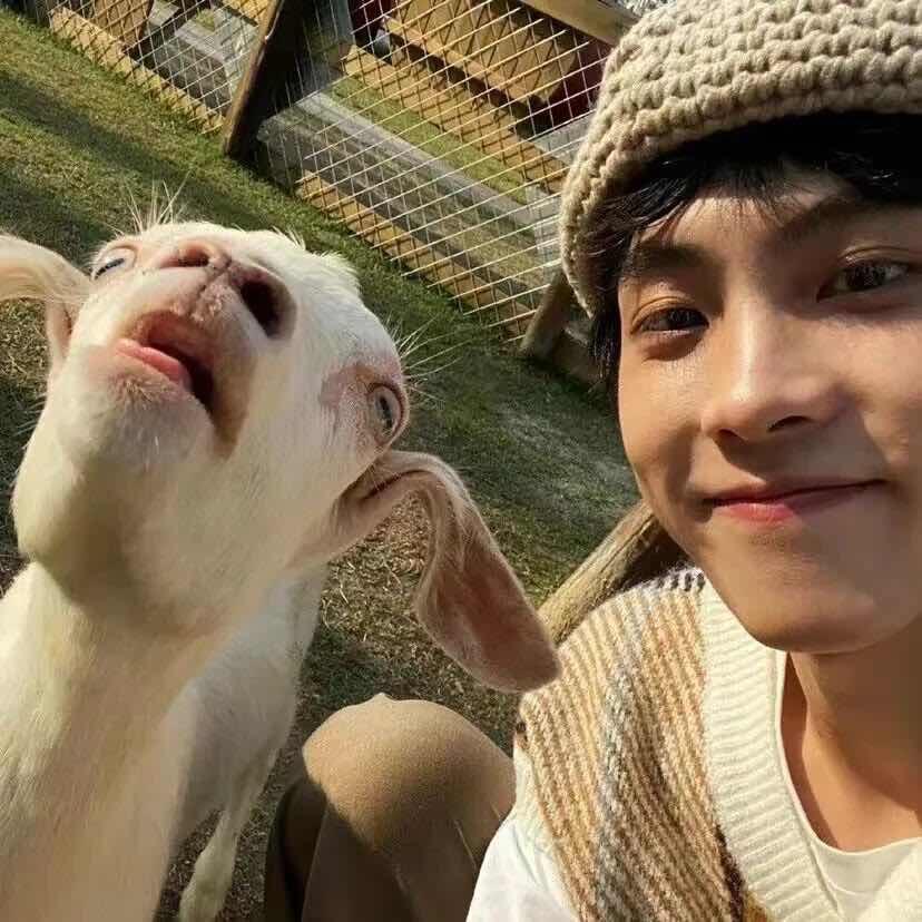 元振🇰🇷韩国(商务版）