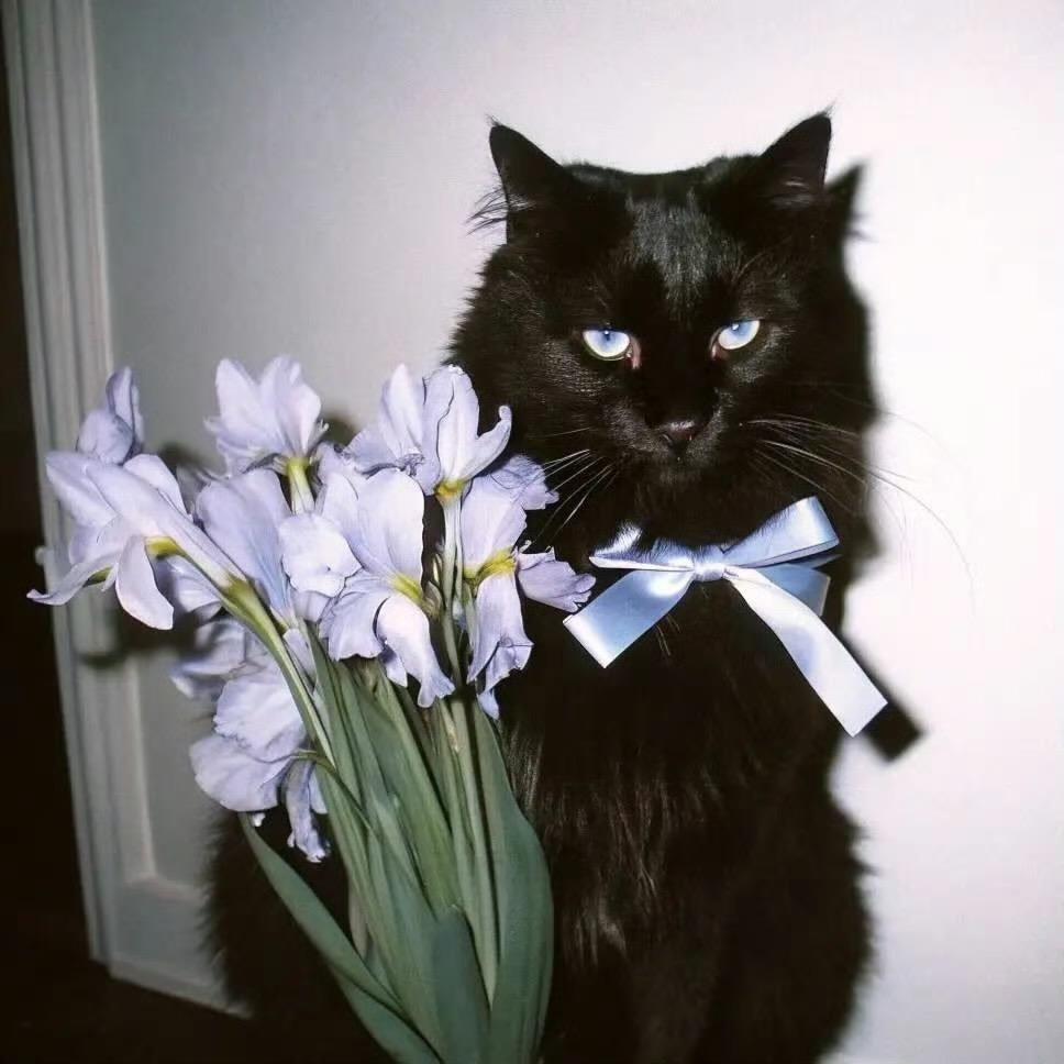 糖炒李子Z☡zᶻᐝ