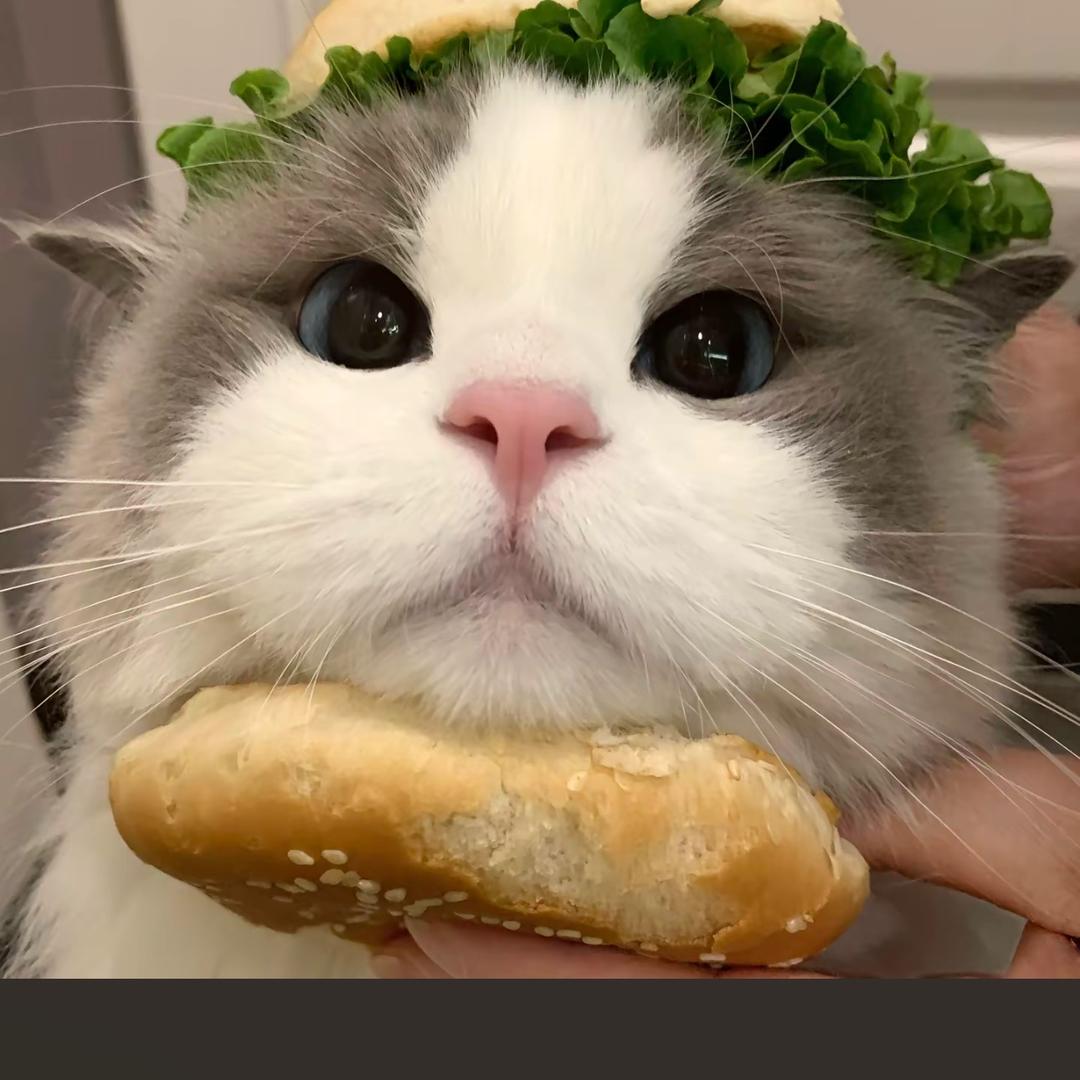 秋水琳娜（水晶批发总部）