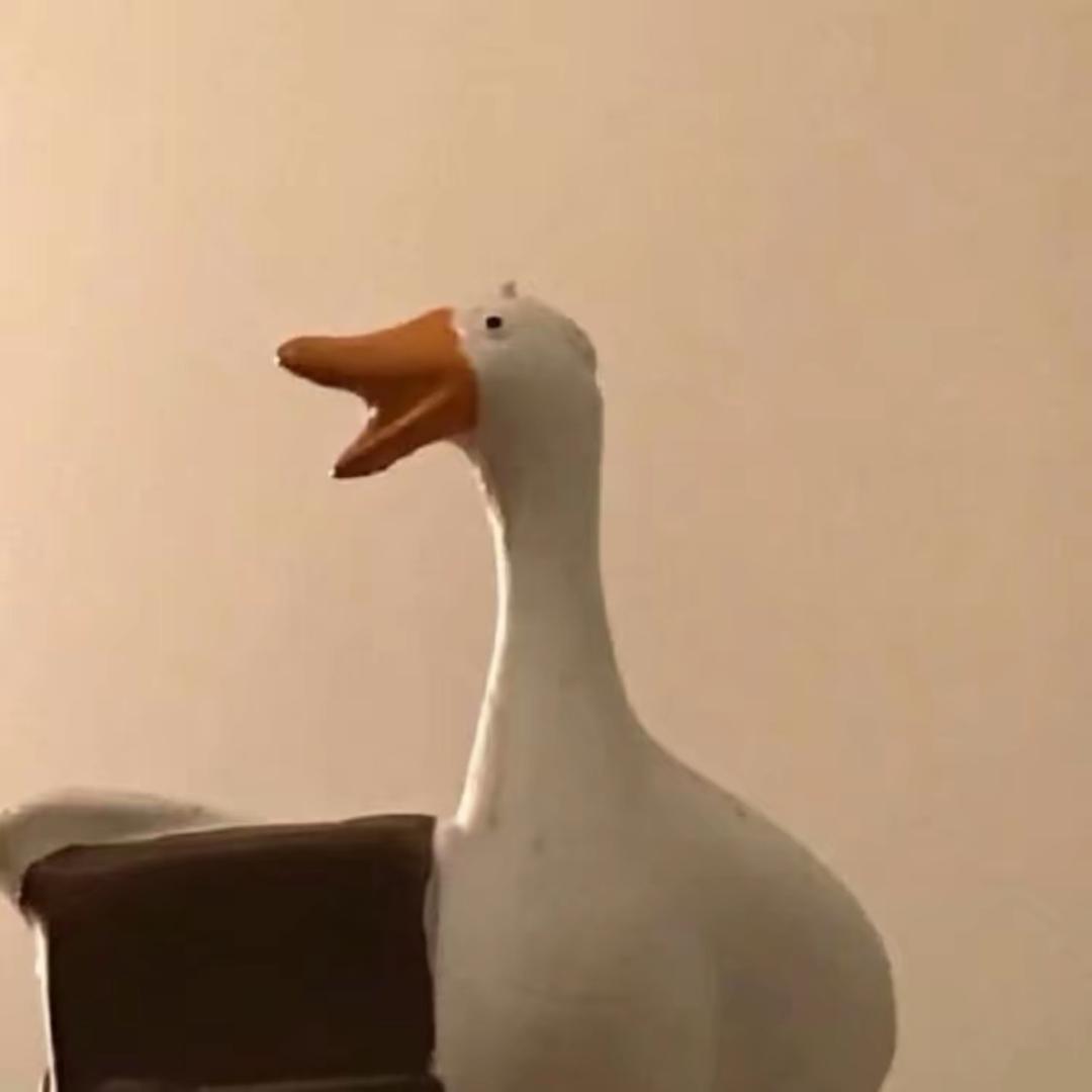 Ooo