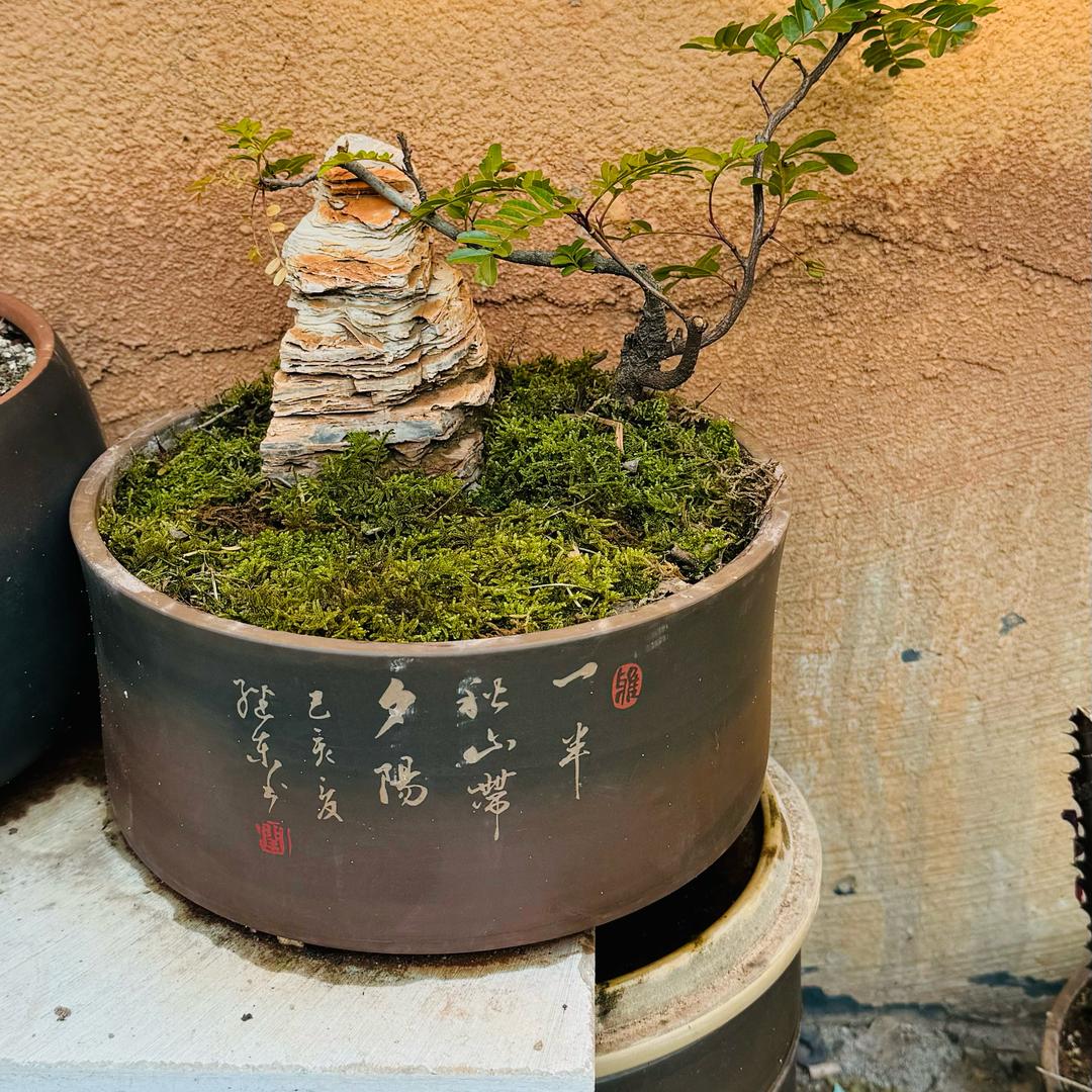 陈斌