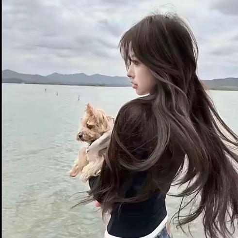 会错意。