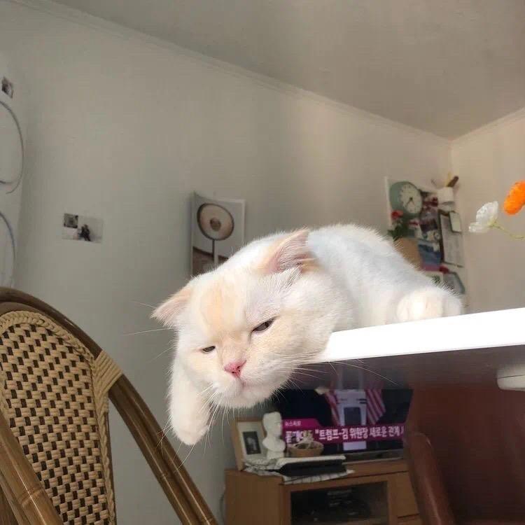 老ぇBaby