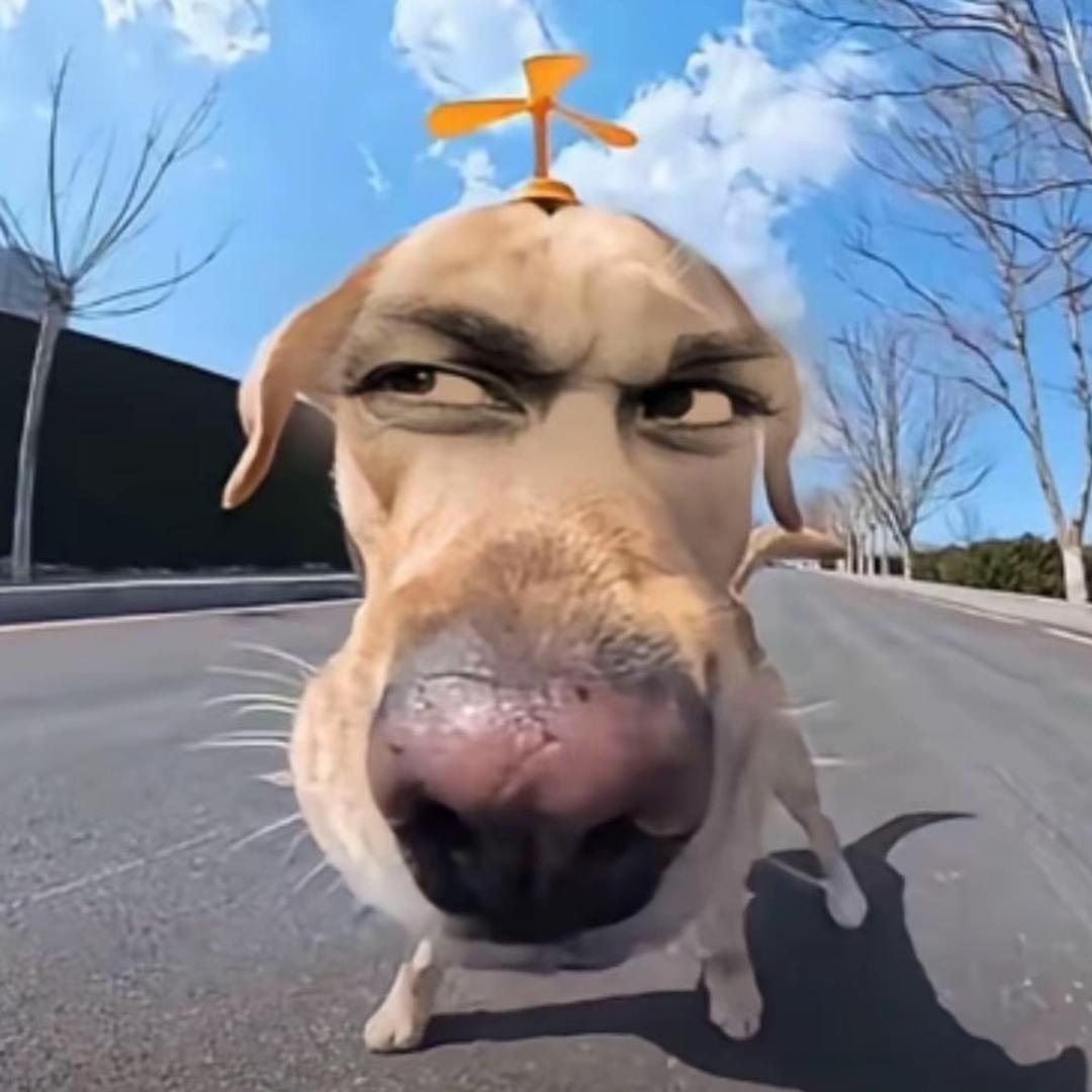 小珠宝
