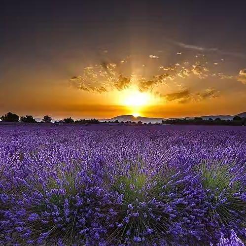 开心👩‍❤️‍💋‍👩