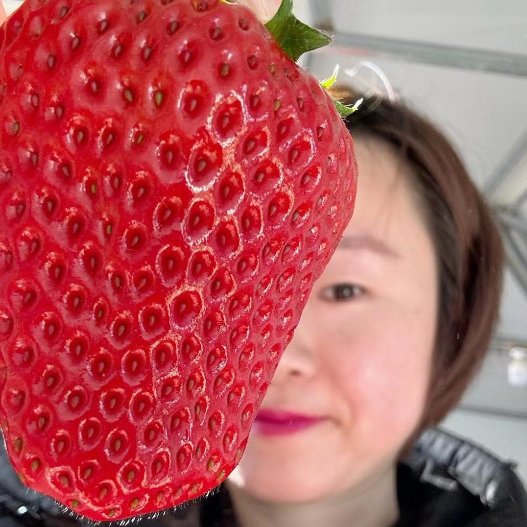 缤果纷🍓🫐🍒