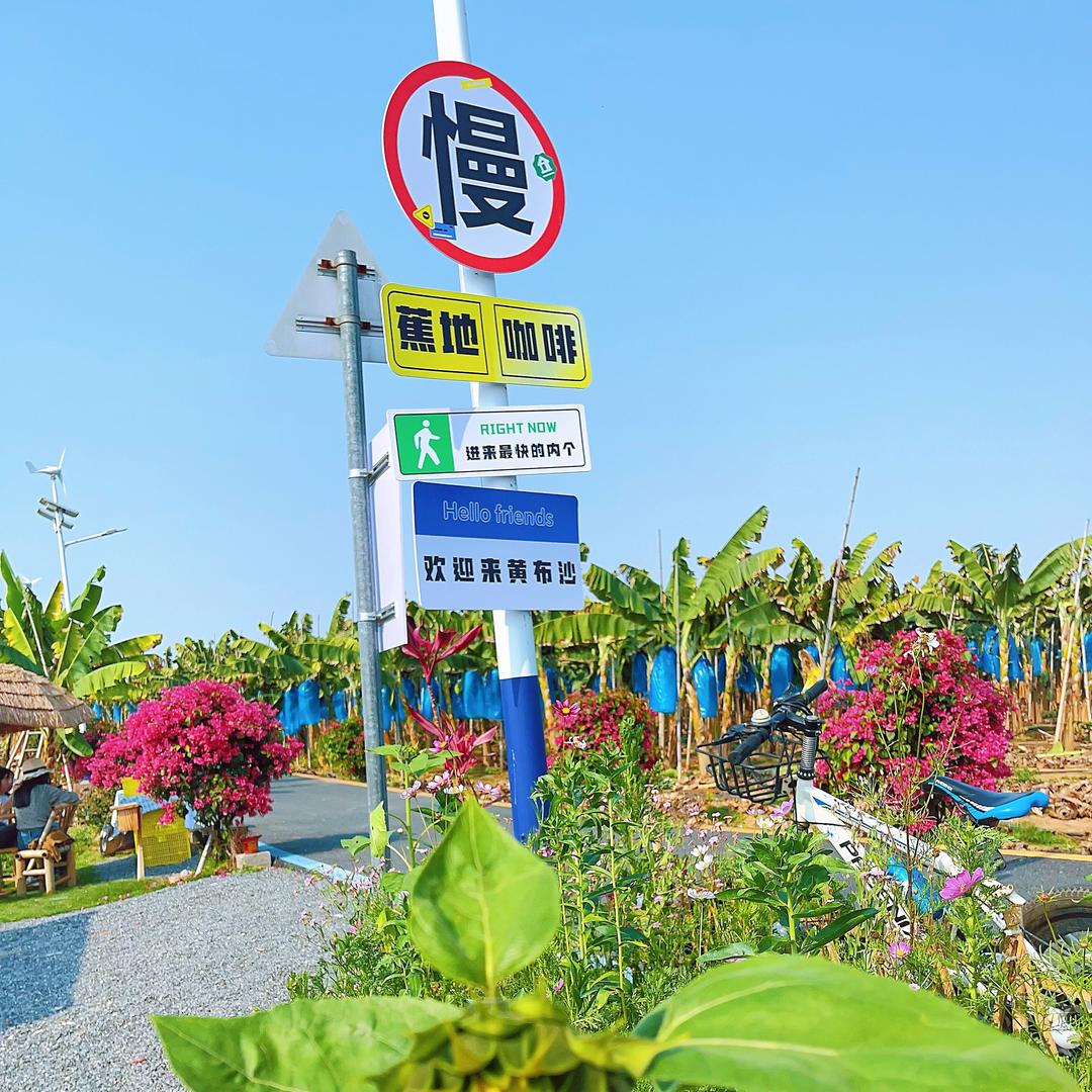 蕉地咖啡的日常