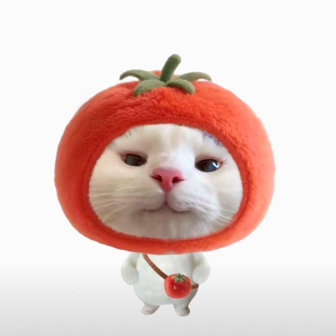 假装玩sm然后把你打死