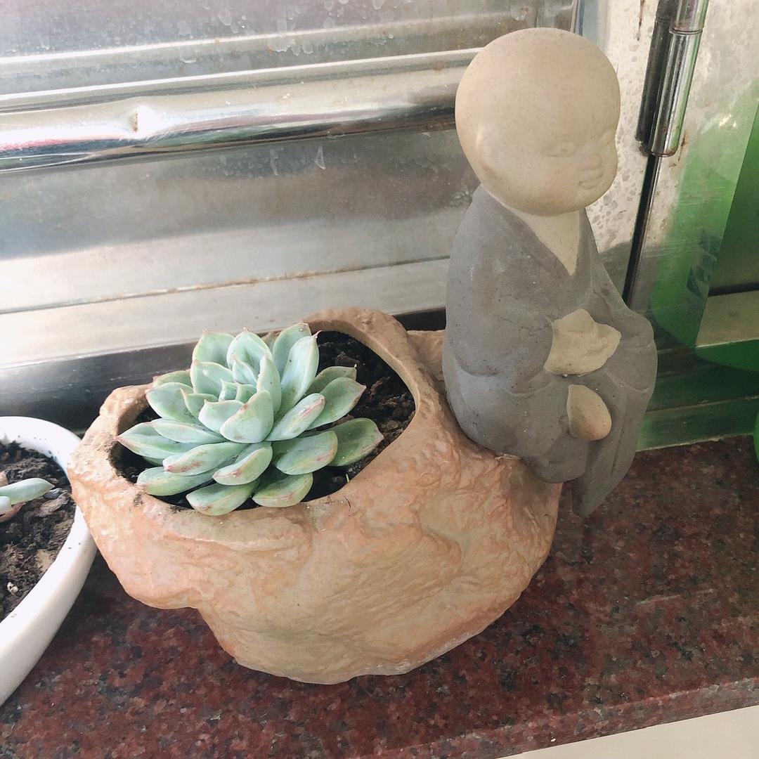 小狗汪好物