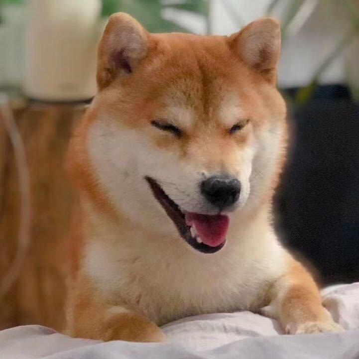 小新和耳根