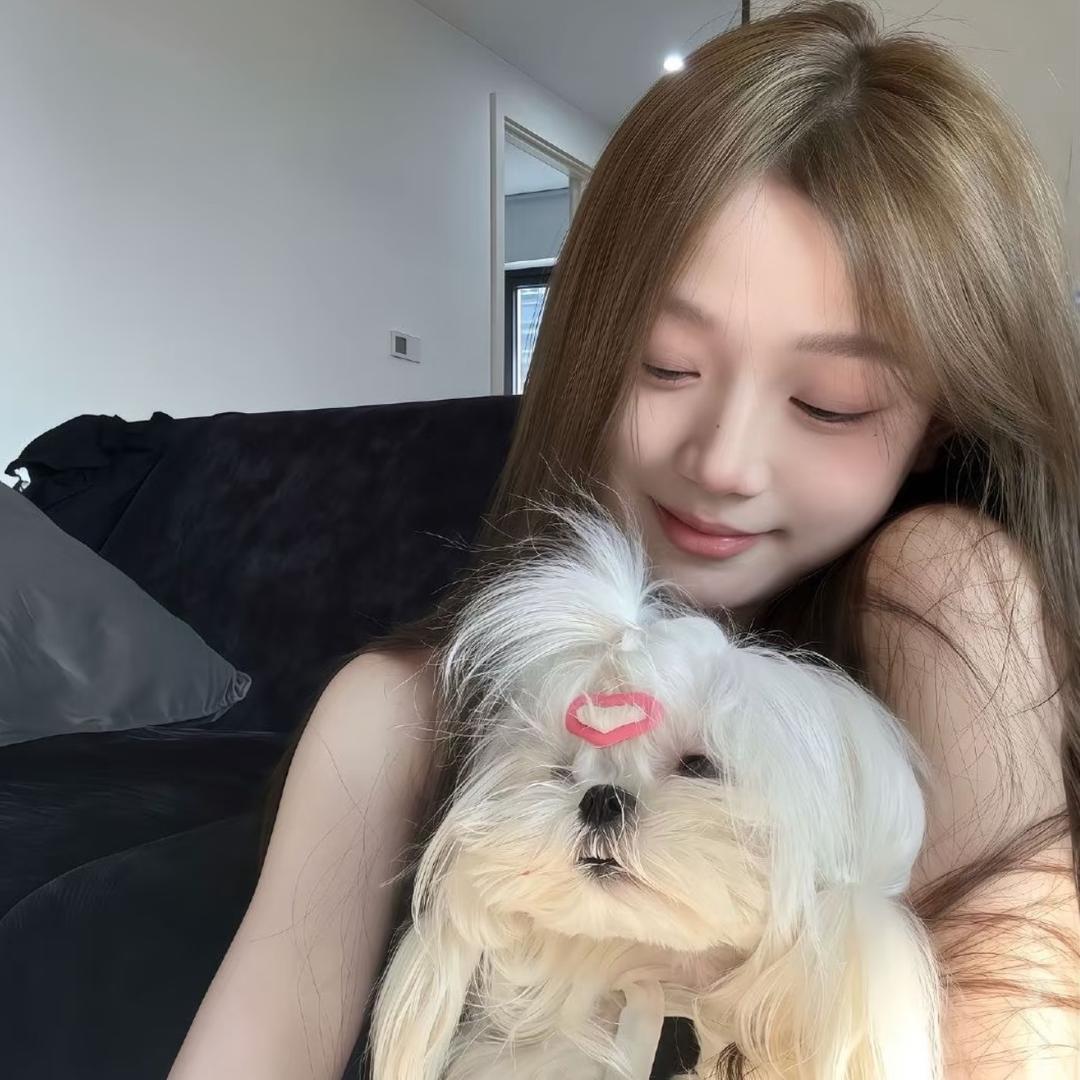豬美丽