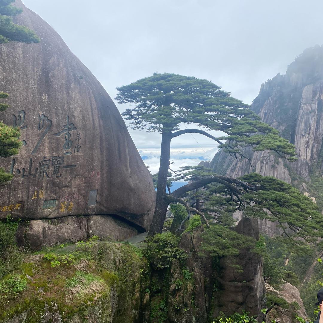 东岳聆听热线