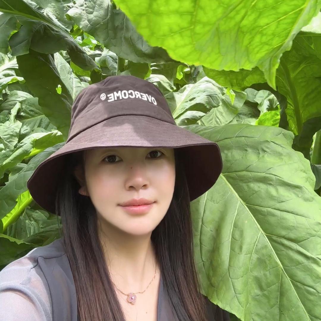 阿捷种子包衣