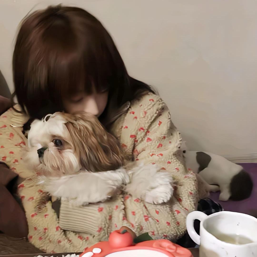 妙妙🐱