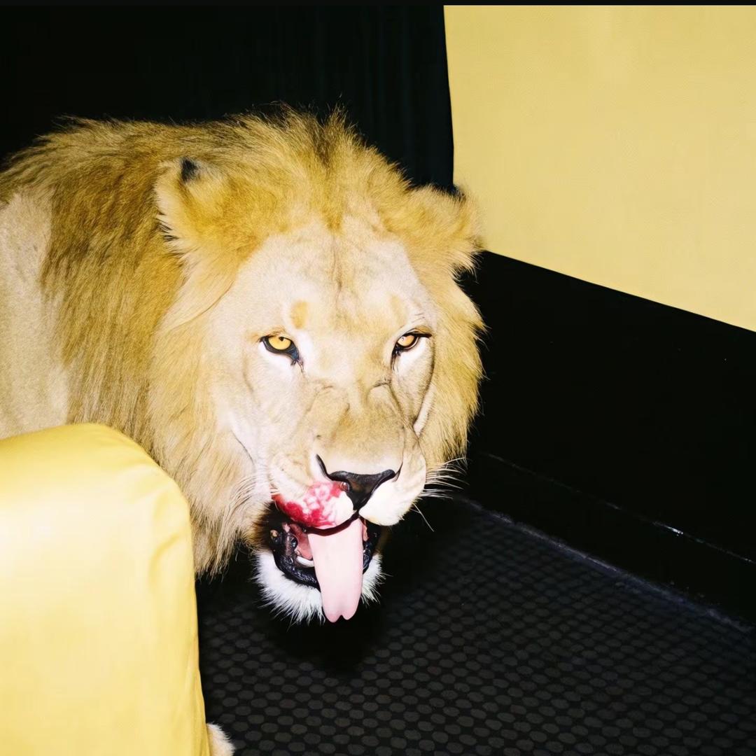 宇宙超级无敌航