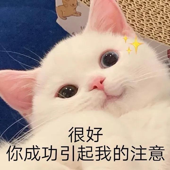 红烧皮卡丘