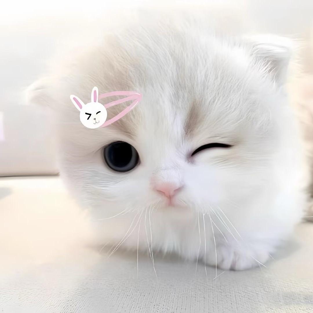 芹丸丸噜