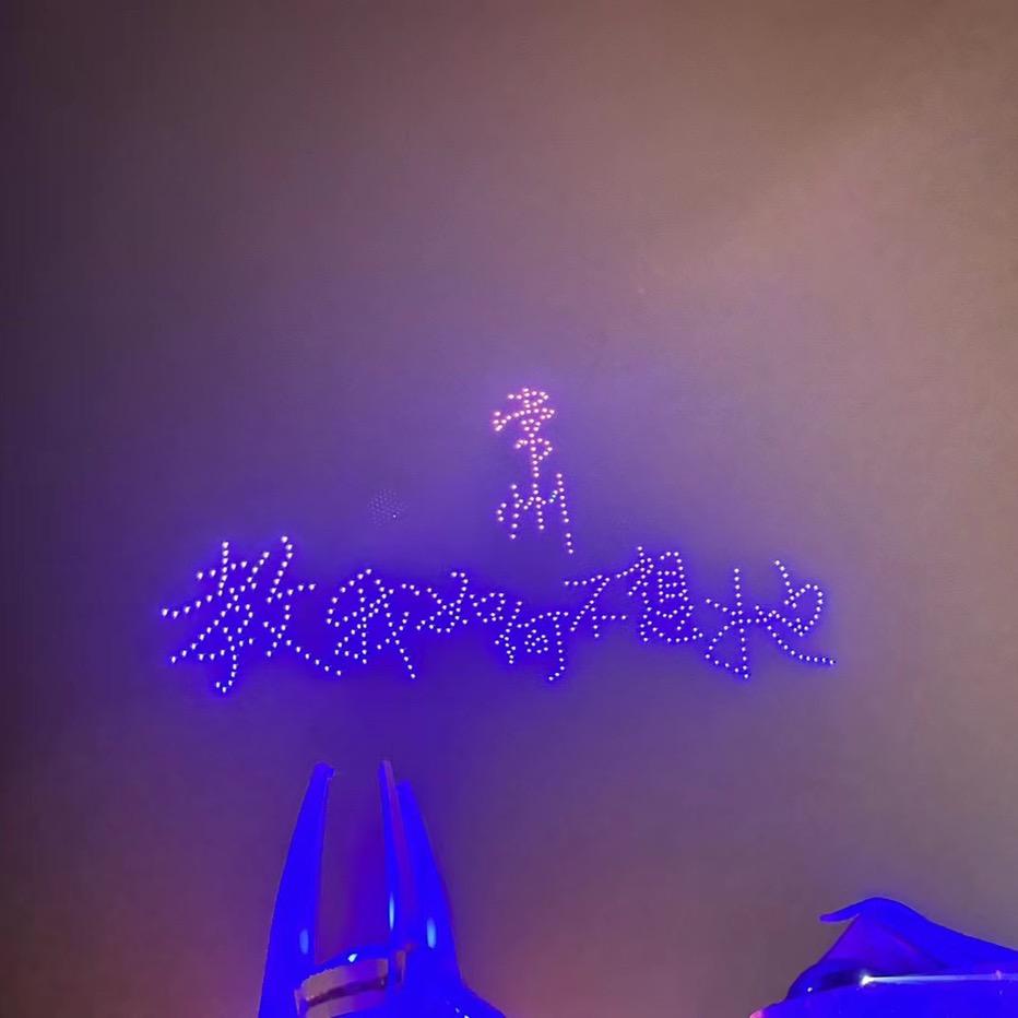 鸽子🕊️