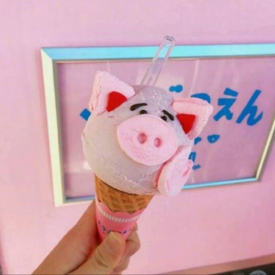 圆脸猪呀服装店