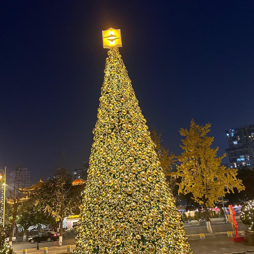 像风一样自由🌞