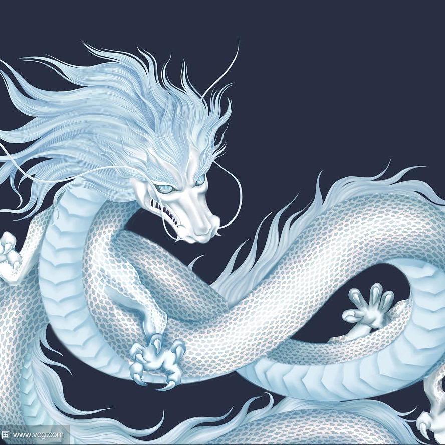 白龙🐉