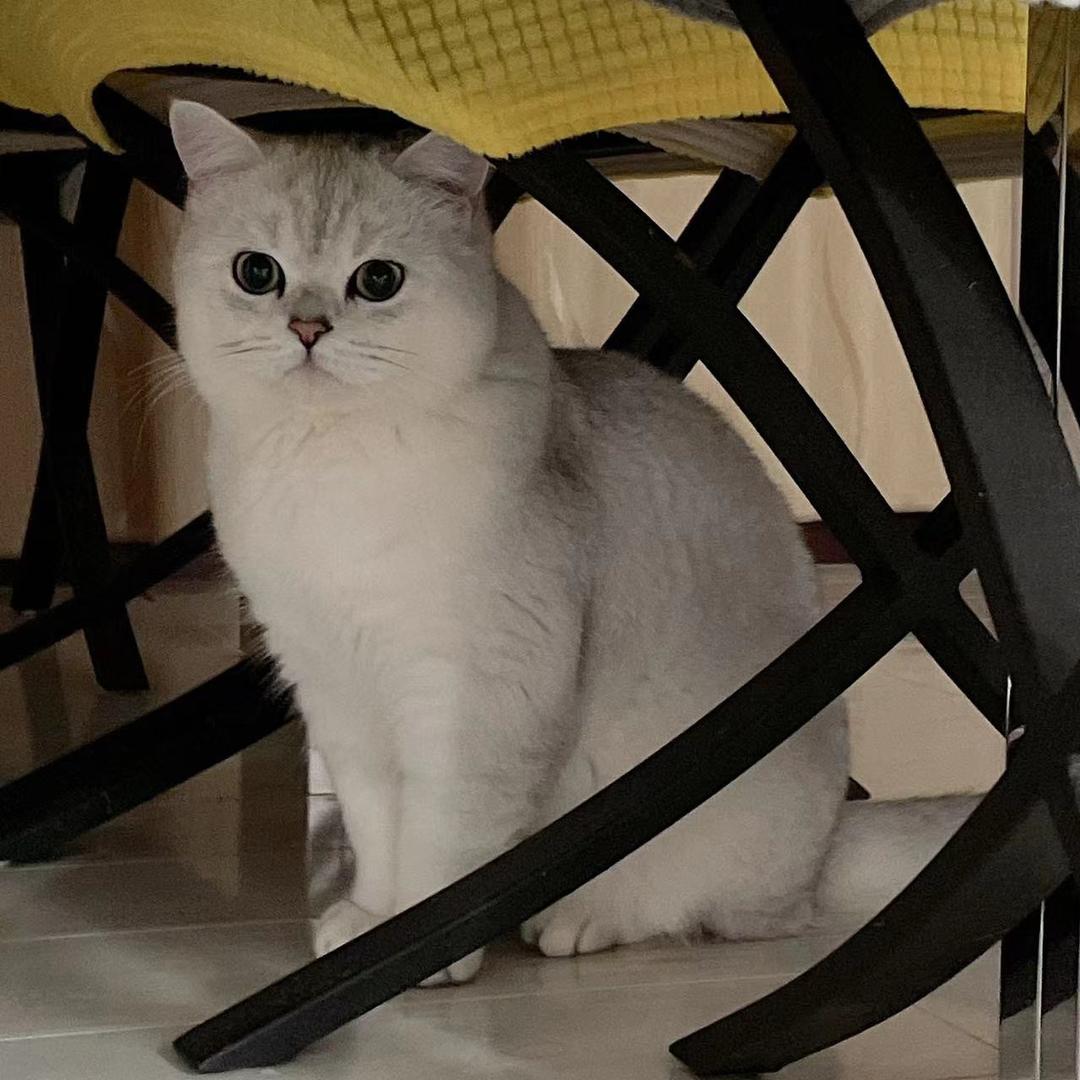 我长不胖了👧
