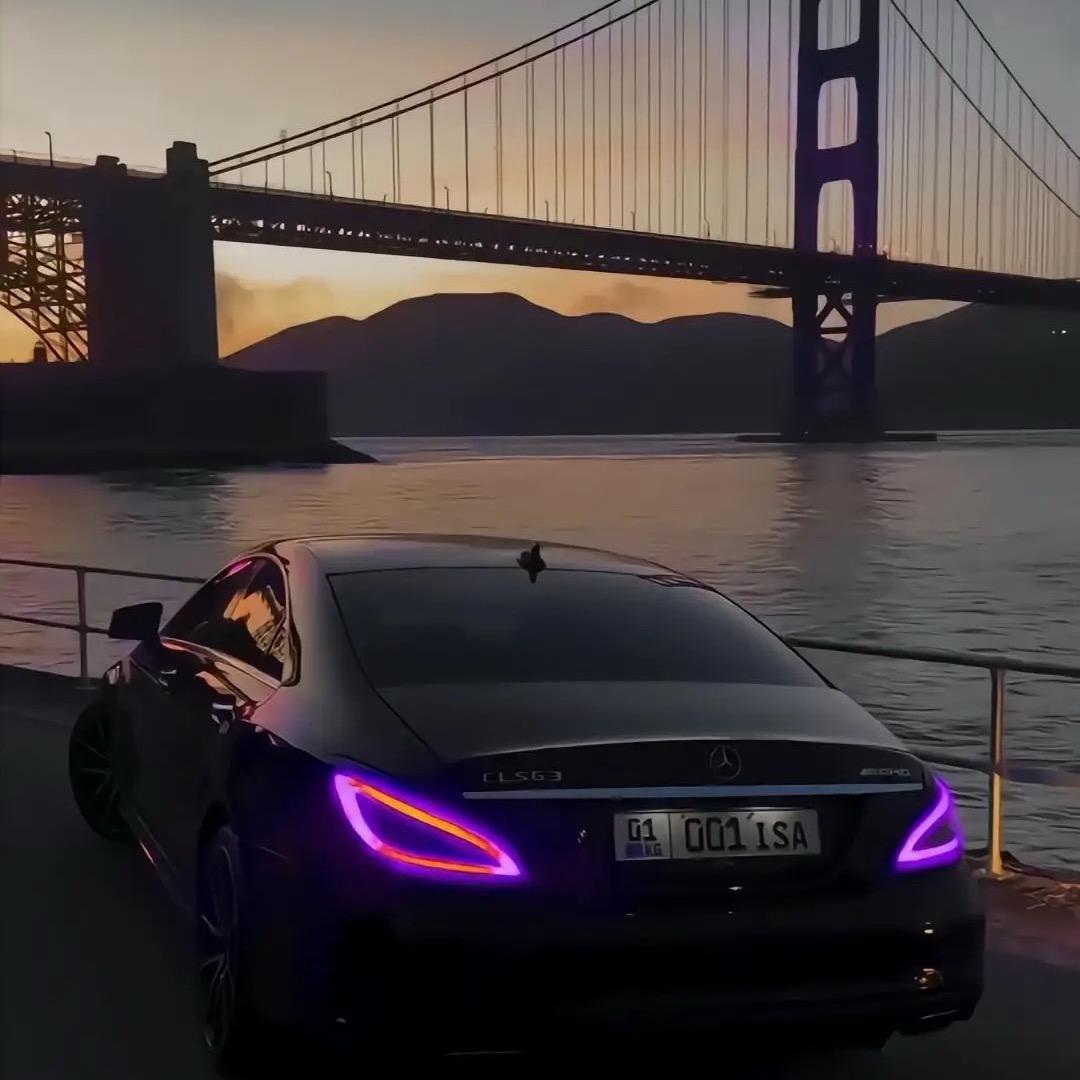 书容