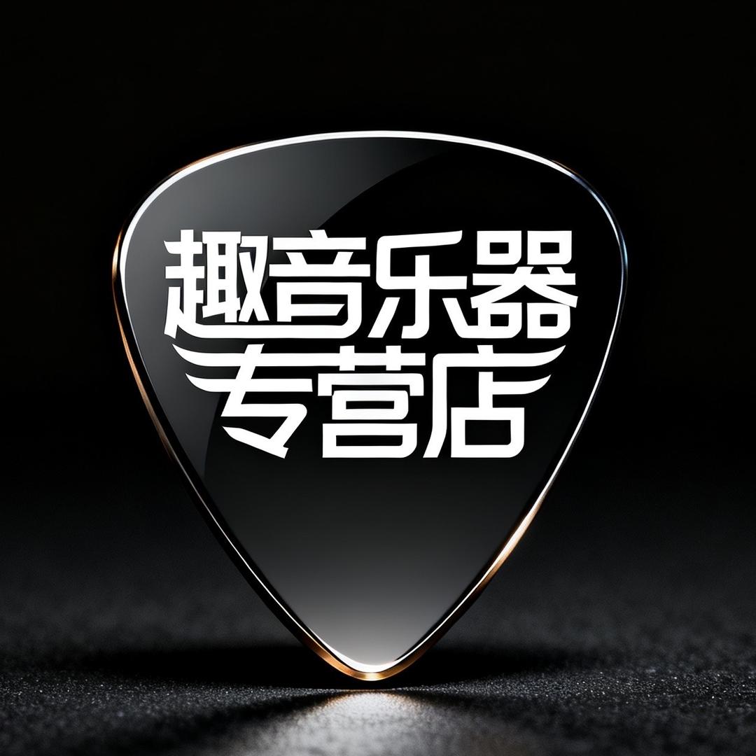 趣音乐器专营店