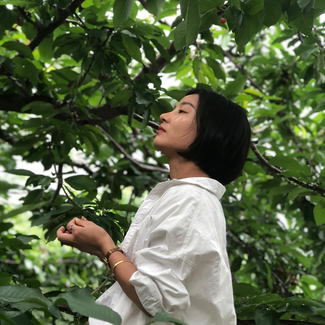 松松垮垮的凤瑾头像