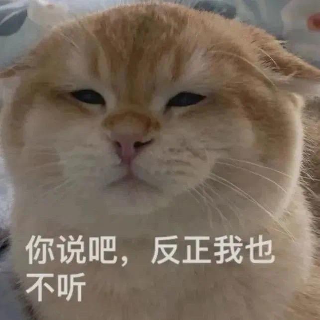 罒ω罒✌️