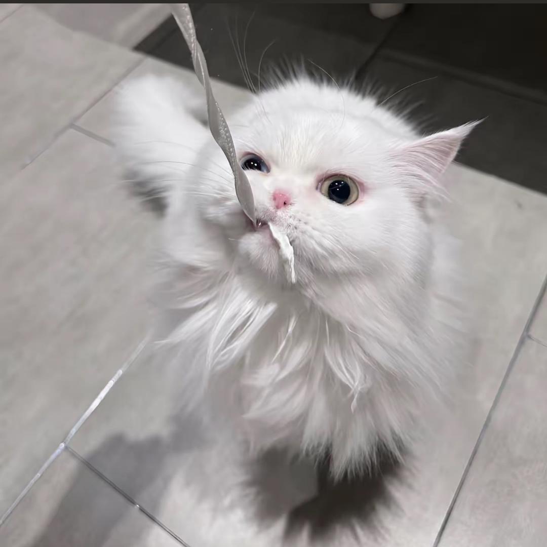 沦陷远