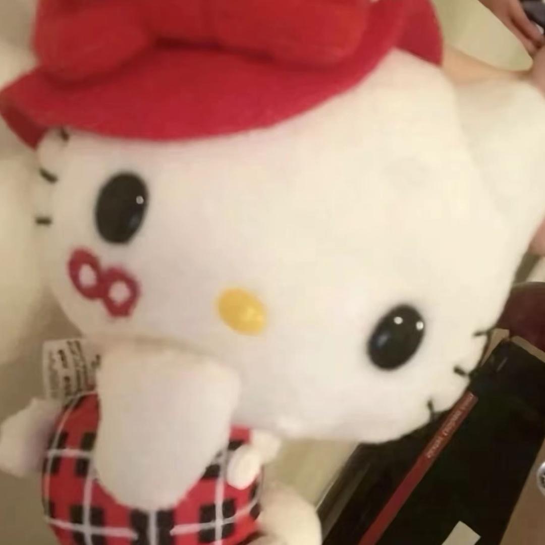 不爱吃胡萝卜的兔子🐰