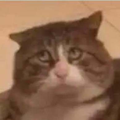 没有昵称