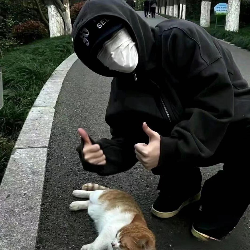 一只羊