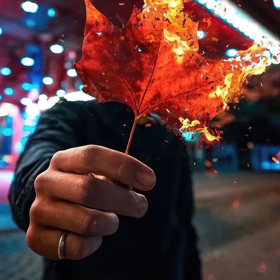 枫叶🍁 🍁