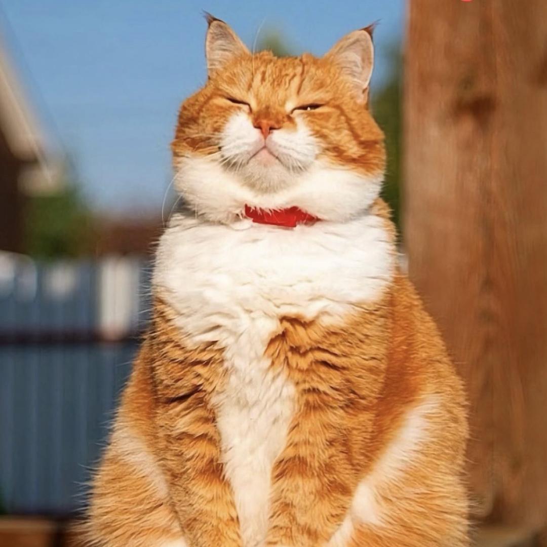 广佛佛罗伦萨小镇FURLA