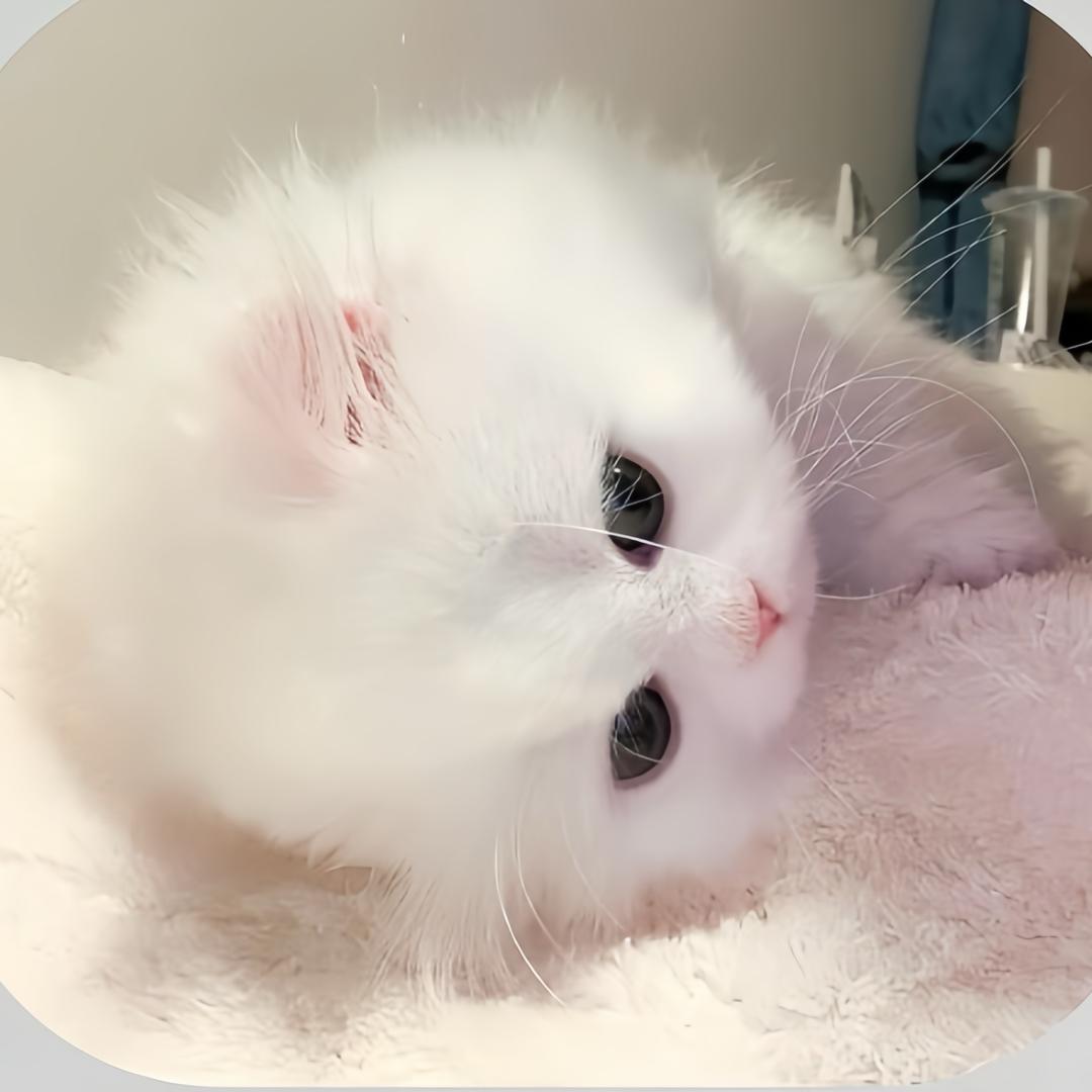 ^小.睿^