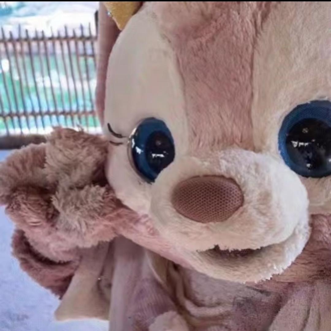 呆呆琪