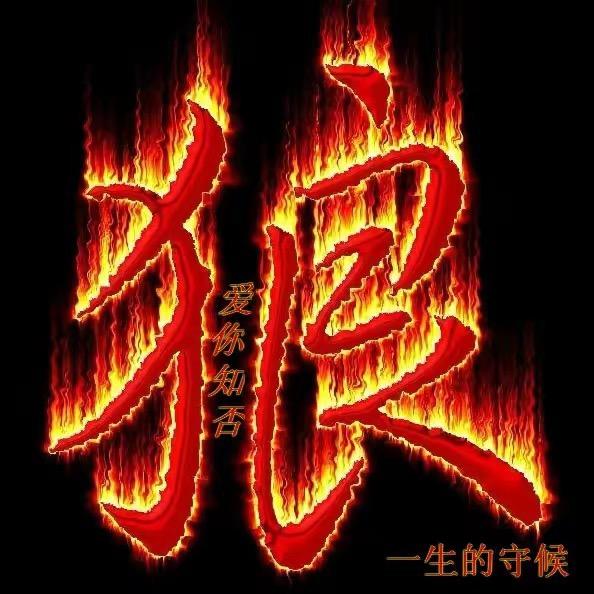 🇨🇳野狼
