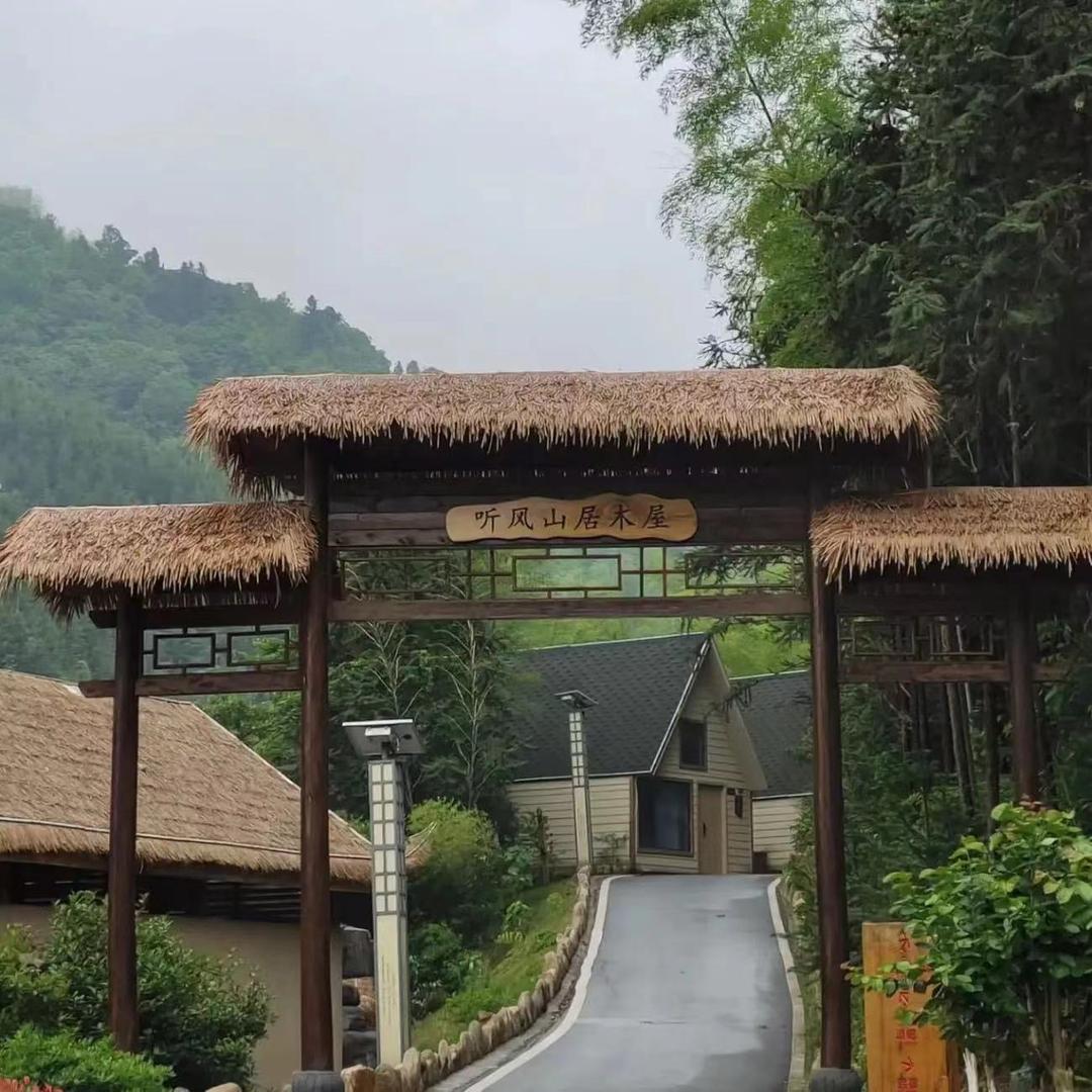 仿真茅草～