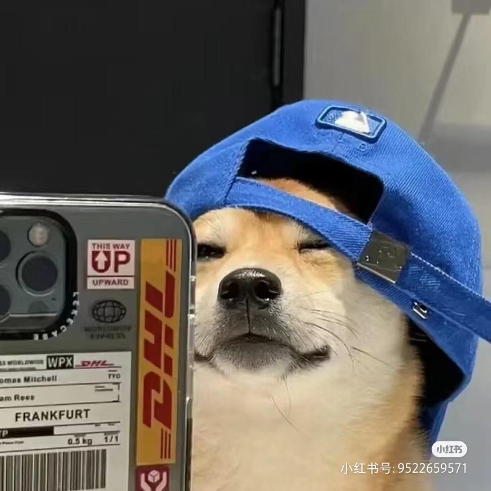 是菜狗呀