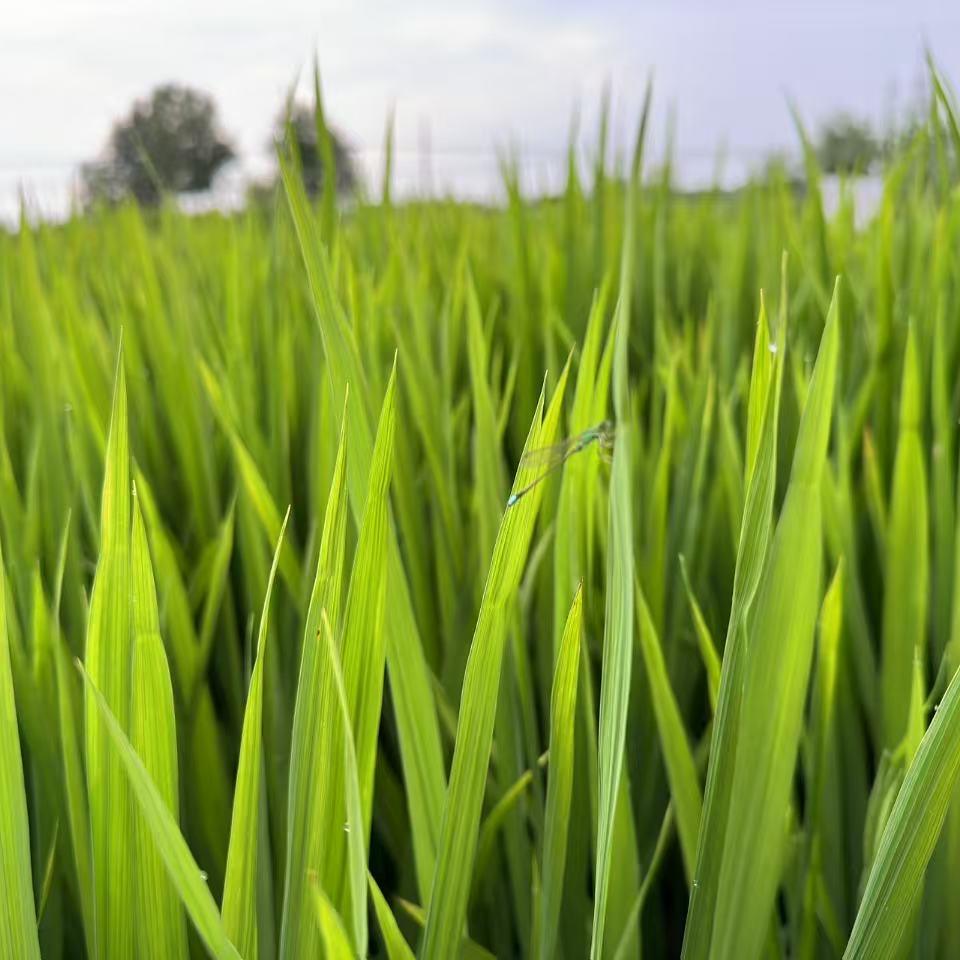 老河口杰阮日用精品小铺