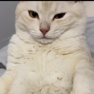 AAA建材批发冰哥