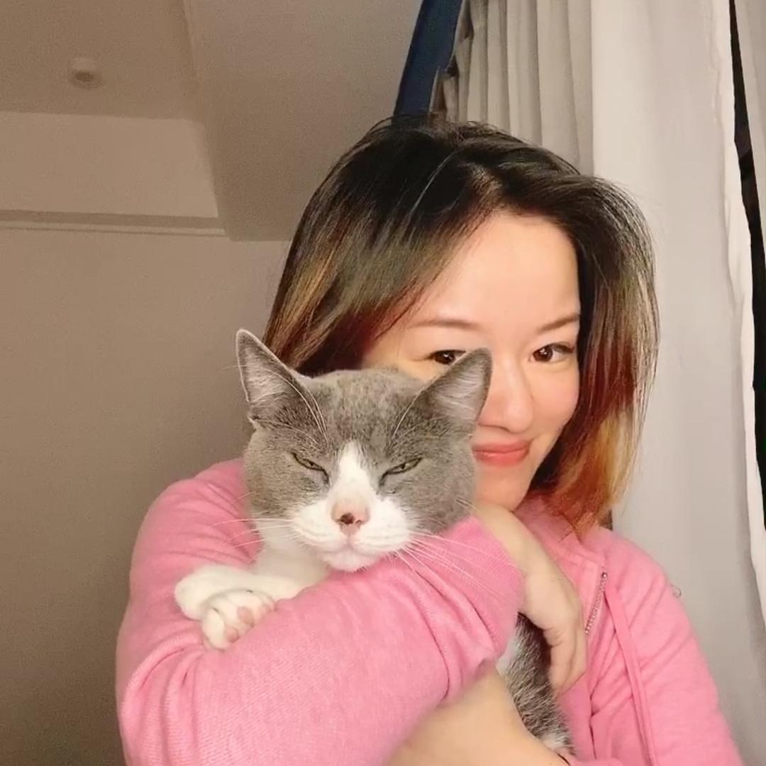 猫猫说英语