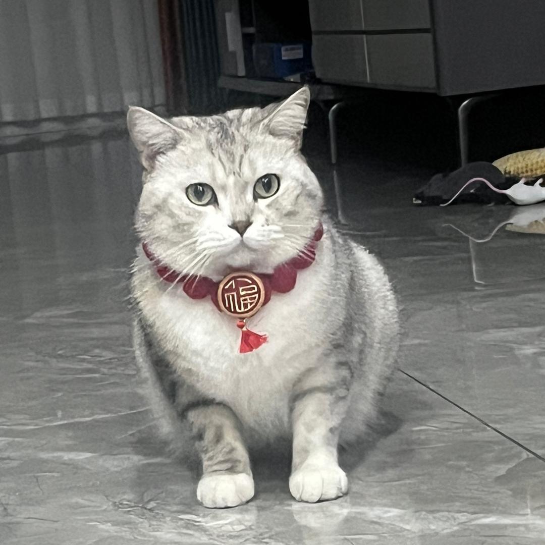 常一尝