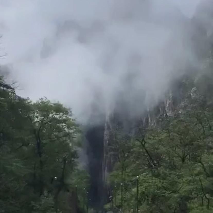 金火论期