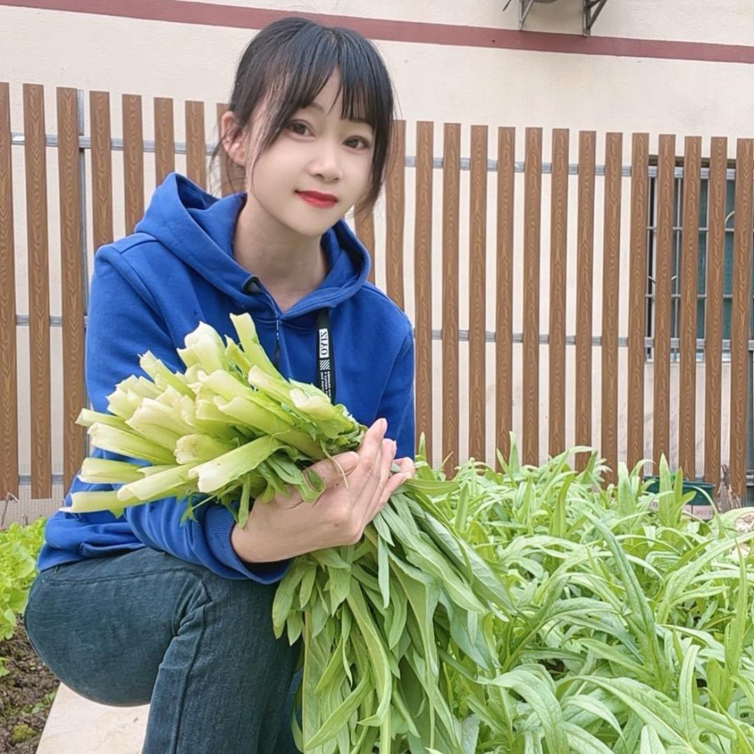 蓝姐💙.（小菜园）